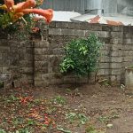 تهاتر زمین همراه خانه کلنگی با ویلا در محدوده کلاچای